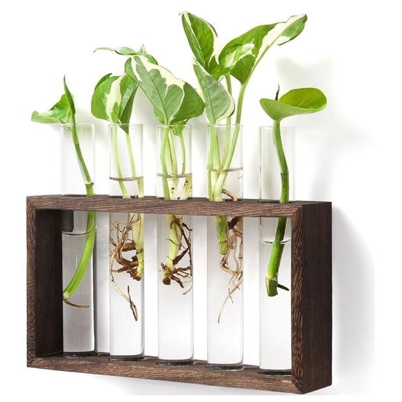 NIB Wall Hanging Plant Terrarium- Brown - Picture 1 of 13